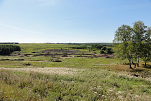 Лето - 2015